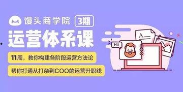 系统抽风了我带姐妹勤劳致富,系统抽风背后的奋斗传奇