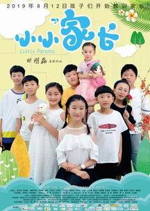 小小家长,育儿路上的温馨陪伴与智慧导航