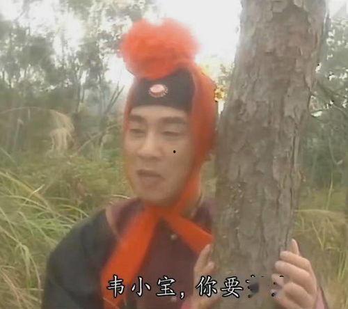 80年代，披荆斩棘的姐姐,披荆斩棘的姐姐们风采录